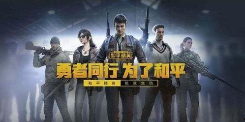 和平精英菜鸟爆料视频,揭秘新手玩家的成长之路